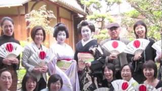 Maiko Geiko and Guides in Kyoto [upl. by Llennhoj]