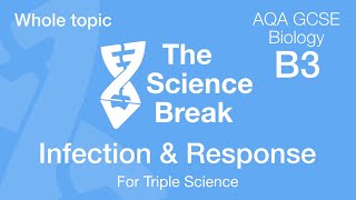 Whole of Unit 3  AQA GCSE Biology  Infection and Response [upl. by Deste382]