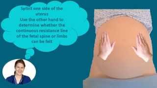 Abdominal Palpation Tutorial for Student Midwives [upl. by Reinald20]