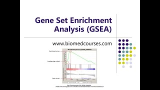 Gene Set Enrichment Analysis GSEA Course [upl. by Fowkes]