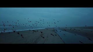 NOORDWIJK AAN ZEE Drone 4K  ALIAS [upl. by Mcadams493]