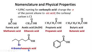 Structure amp Nomenclature │ Carboxylic Acids amp Derivatives │ Organic Chemistry [upl. by Shelden82]