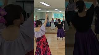 Haaheo kaimana hila 훌라센스 huladance [upl. by Nitsuga]