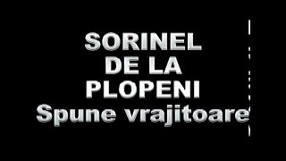 SORINEL DE LA PLOPENI SPUNE VRAJITOARE [upl. by Xila963]