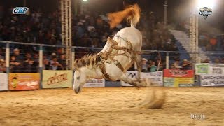 Rodeio de Santa Albertina 2018  FINAL EM CUTIANO [upl. by Asilem898]