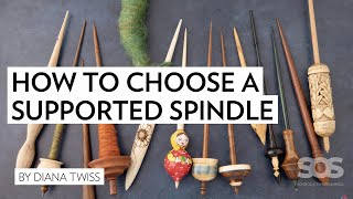 How to Choose a Supported Spindle with Diana Twiss  Spinning Summit  School of SweetGeorgia [upl. by Kcerb302]