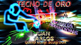 🎼TECNO DE ORO EDICION ESPECIAL FULL MIX SD🎵 [upl. by Phipps101]