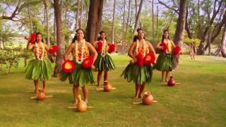 Beautiful Hula  Polynesian Dancers [upl. by Aicissej]