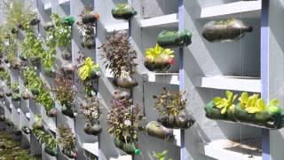 The hanging garden project  American School of Recife [upl. by Ehud]