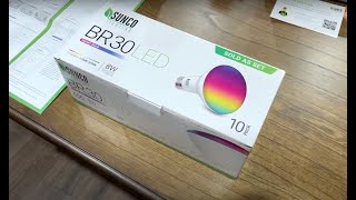 Amazon Sunco Wifi BR30 LED Lights  Review installation [upl. by Adest]