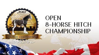 OPEN 8  HORSE HITCH CHAMPIONSHIP [upl. by Lundberg266]