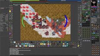 Tibia Hunt Rp Solo Bashmu 29 Mister Shin [upl. by Gleeson231]