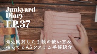 【手帳】最近開封した手帳をどのように使っているか＆持っているA5システム手帳紹介｜Junkyard Diary EP37 [upl. by Einwat]