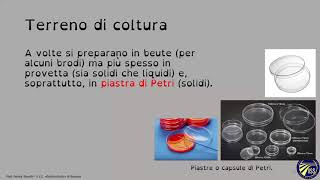 Introduzione ai terreni di coltura  Corso di microbiologia [upl. by Oilicec749]