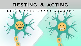 Resting vs Action Potential Simplified Explanation [upl. by Sunday]