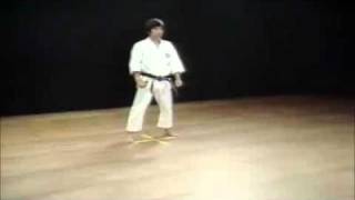 16 Kata Jitte Shotokan Karate Hirokazu Kanazawa [upl. by Ingrim]