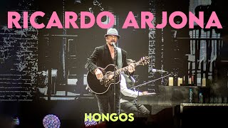 HONGOS  RICARDO ARJONA EN VIVO [upl. by Richmond]