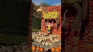 Ludwigsburg pumpkin exhibition Germany State of BadenWürttemburg nature travel tramtour [upl. by Ynohtnakram]