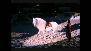 Dancing Friesian Horse At Medieval Times [upl. by Ayenet]