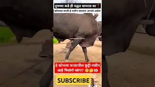 🧐कोणत्या काळातील कुट्टी मशीन आहे मित्रांनो🤔👀😯farmingshortvideosviralshortsRoyalशेतकरीशेतकरीbran [upl. by Downing]