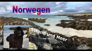 Rundreise Skandinavien Stellplatz und Strandspaziergang am nördlichsten Festlandpunkt vlog 17 [upl. by Horton]