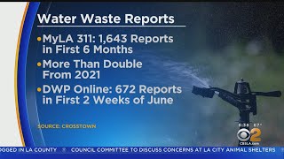 MyLA311 LADWP flooded with reports of water waste [upl. by Ahsinnor]