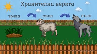 Хранене на животните  Човекът и природата 3 клас  academico [upl. by Rem57]