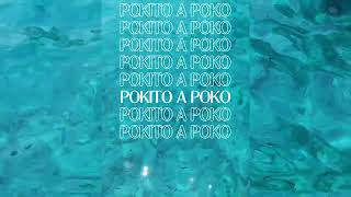 Chambao  Pokito a Poko Edit [upl. by Temirf]