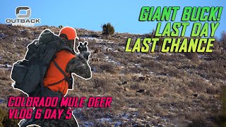 Buck in Range Colorado Unit 44 LAST DAY Vlog 6 [upl. by Alik]