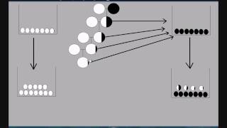 The One Drop Rule is Destructive to African Americans [upl. by Iohk]