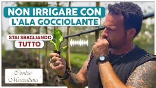 Le Piante Parlano Evita Errori Comuni di Irrigazione e Nutrizione [upl. by Estrella928]