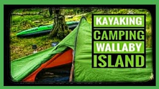 Kayak amp Wild Camp Loch Lomonds Wallaby Island [upl. by Elyn]