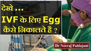 देखे आईवीएफ के लिए एग कैसे निकालते है IVF Egg Pickup Video  Dr Neeraj Pahlajani [upl. by Wager]