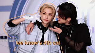 lee know has a soft spot for felix [upl. by Hoes]