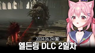 20240624 엘든링 DLC 2일차 보스 트라이 드가자 [upl. by Alfred]