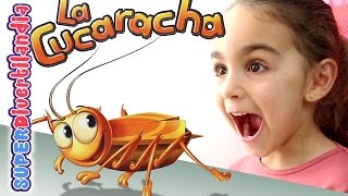 La Cucaracha Hexbug Nano Juego de mesa con Andrea Cockroach in the kitchen [upl. by Anihsit]