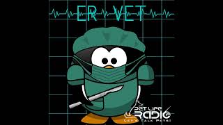 ER Vet  Episode 51 Blood Work Tests That We Do at the ER Veterinarian [upl. by Llerrud]