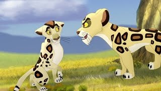 Lion Guard Badili VS Mapigano  The Trouble With Galagos HD Clip [upl. by Tildi43]