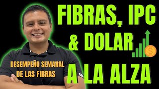 FIBRAS IPC amp Dólar A La ALZA  Desempeño de las FIBRAS FSHOP📈 La Mejor FUNO📉 La Peor de 2024 [upl. by Yarak]