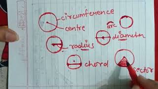 About Circle  Parts of Circle  Component of Circle  Radius Diameter  Chord  Segment circle [upl. by Enilemme]