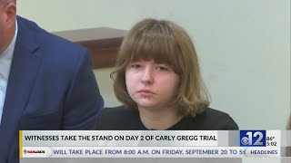 Stepfather of Carly Gregg testifies during trial [upl. by Eniahs866]