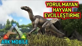 YORULMAYAN HAYVAN İGUANODON EVCİLLEŞTİRME  Ark Mobile Türkçe [upl. by Nodyarg609]