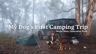 My Dogs First Camping Trip in the Misty Australian Bush [upl. by Botti455]