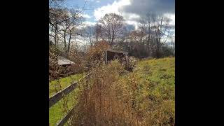 Fall in New Hampshire briefly [upl. by Neneek179]