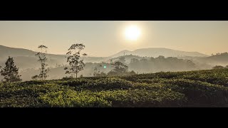 SHALAKO RESORT  vagamon  cheapest resort for bachelor in vagamon [upl. by Countess]