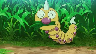 013 Weedles first appearance in the anime shorts pokemon anime [upl. by Dlareme]