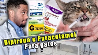 DIPIRONA para gatos e PARACETAMOS para GATOS  Cuidado [upl. by Prakash]