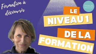 Le niveau 1 de la formation VIRAGES [upl. by Onairda]