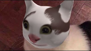 Polite Cat Meme  Beluga Hat Is On Roblox [upl. by Eesyak747]