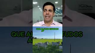 Aplicar ivomec no touro reprodutor causa infertilidade boisaude pecuaria touroreprodutor ivomec [upl. by Assyral]